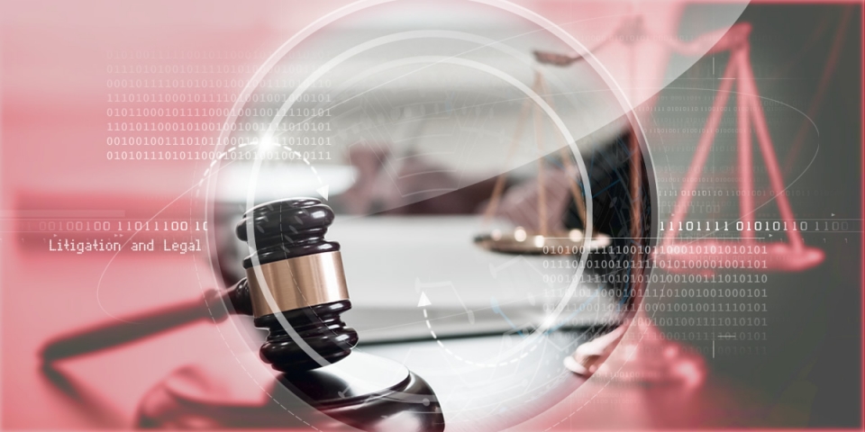 Litigation and Legal